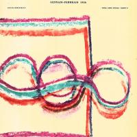 Copertina - Estesiogramma eseguito su di una meteorite, gennaio - febbraio 1956, anno IV, n. 1